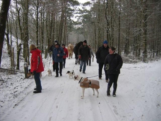 foto1
